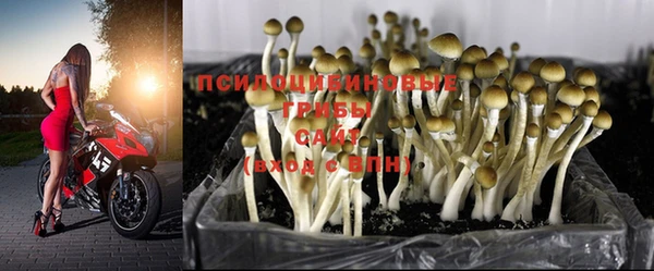 стафф Гусь-Хрустальный