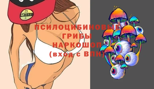 стафф Гусь-Хрустальный