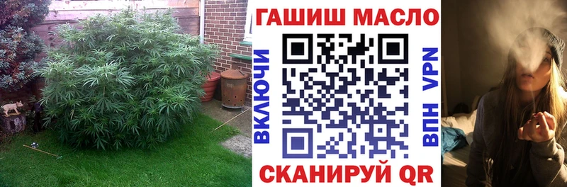 ТГК Wax  Купить  Олёкминск 